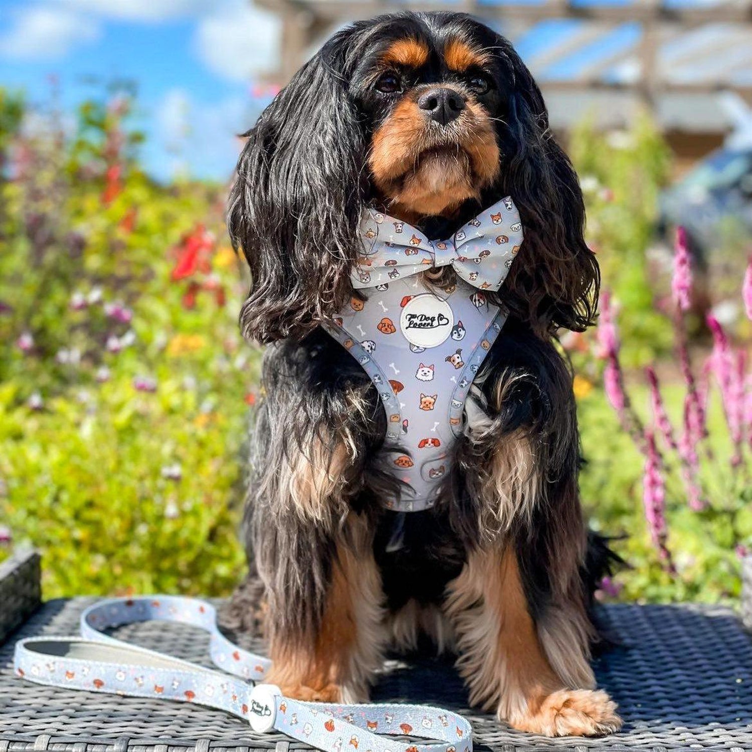 Adjustable Dog Harness Oh My Pup