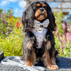 Adjustable Dog Harness Oh My Pup