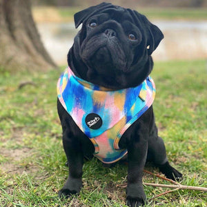 Adjustable Dog Harness - The Artist