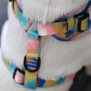 Adjustable Dog Harness - The Artist