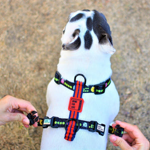 Adjustable Dog Strap Harness - Pac Man