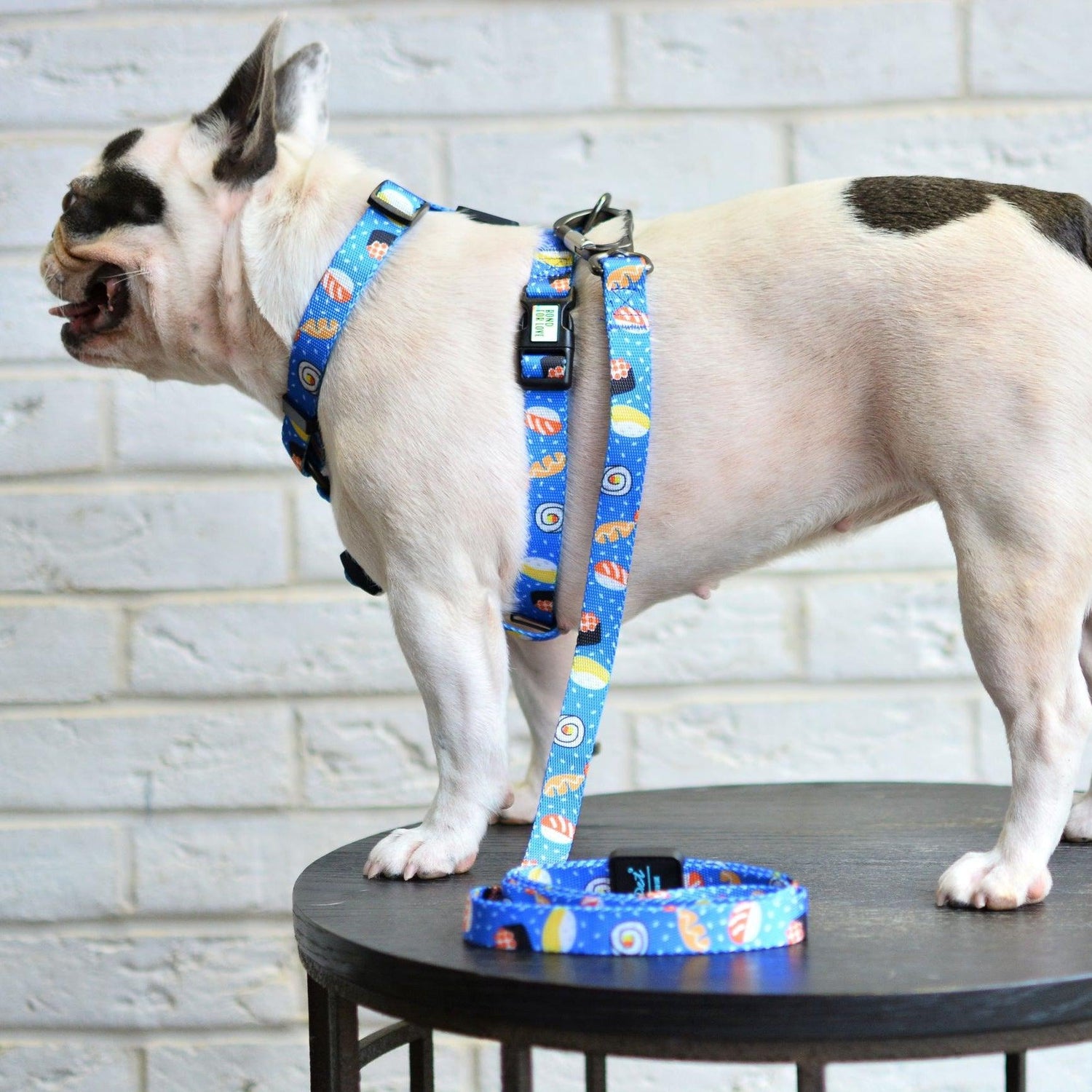 Adjustable Dog Strap Harness - Sushi