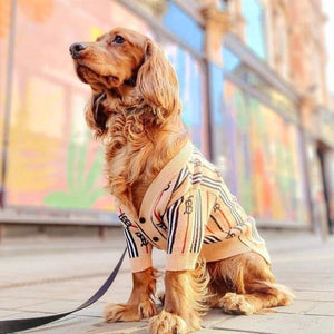 Barkbery Designer Dog Sweater Cardigan