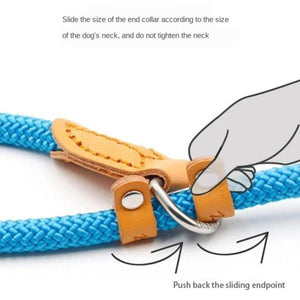Bond For Love Cotton Dog Collar Integrated Round Rope