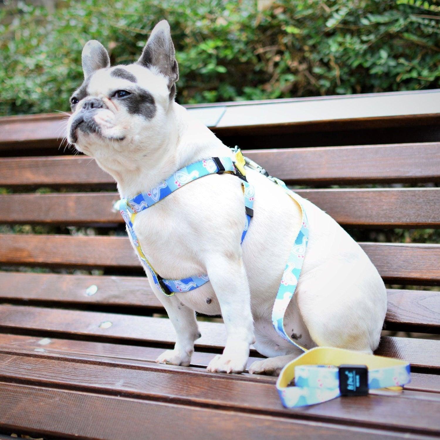 Bond For Love Dog Strap Harness - Goose