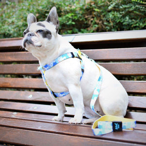 Bond For Love Dog Strap Harness - Goose
