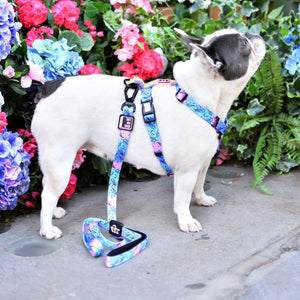 Bond For Love Dog Strap Harness - Meteor