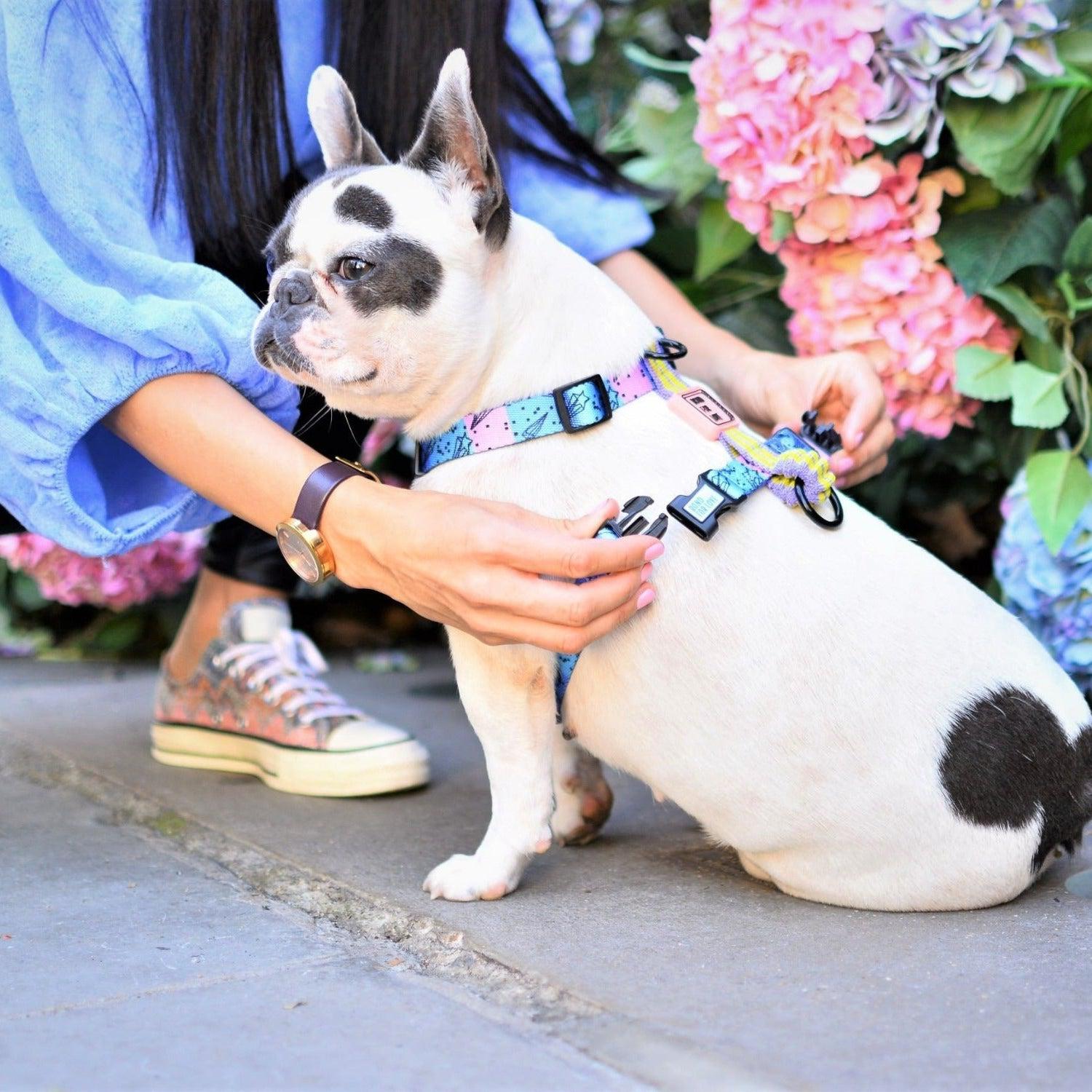 Bond For Love Dog Strap Harness - Meteor