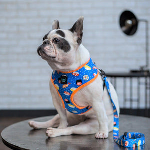 Bond For Love Dog Vest Harness - Sushi