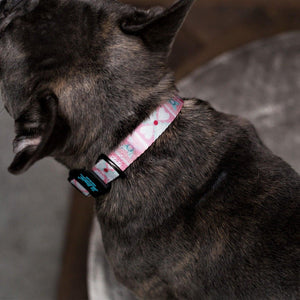 Bond For Love Lightweight Dog Collar - Morocco