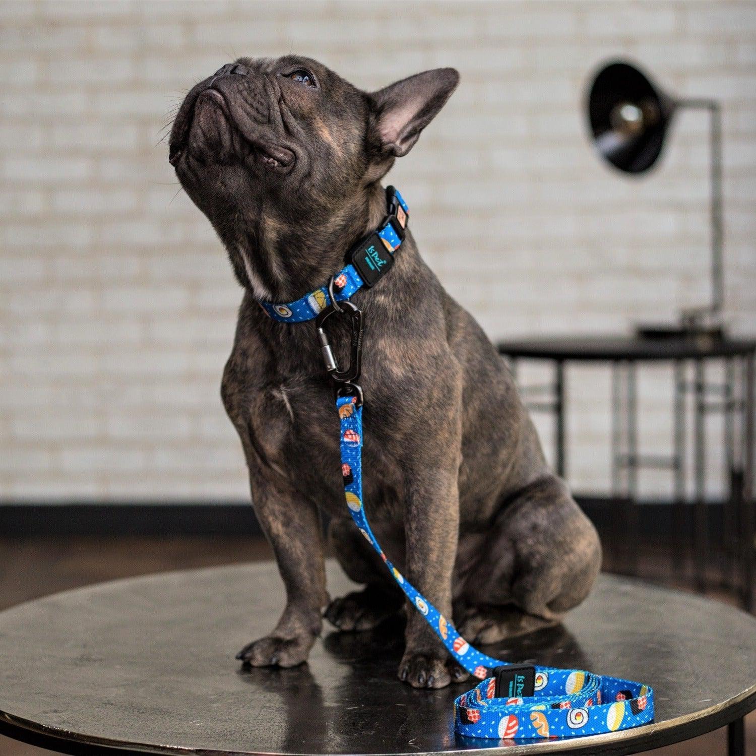 Bond For Love Lightweight Dog Collar - Sushi