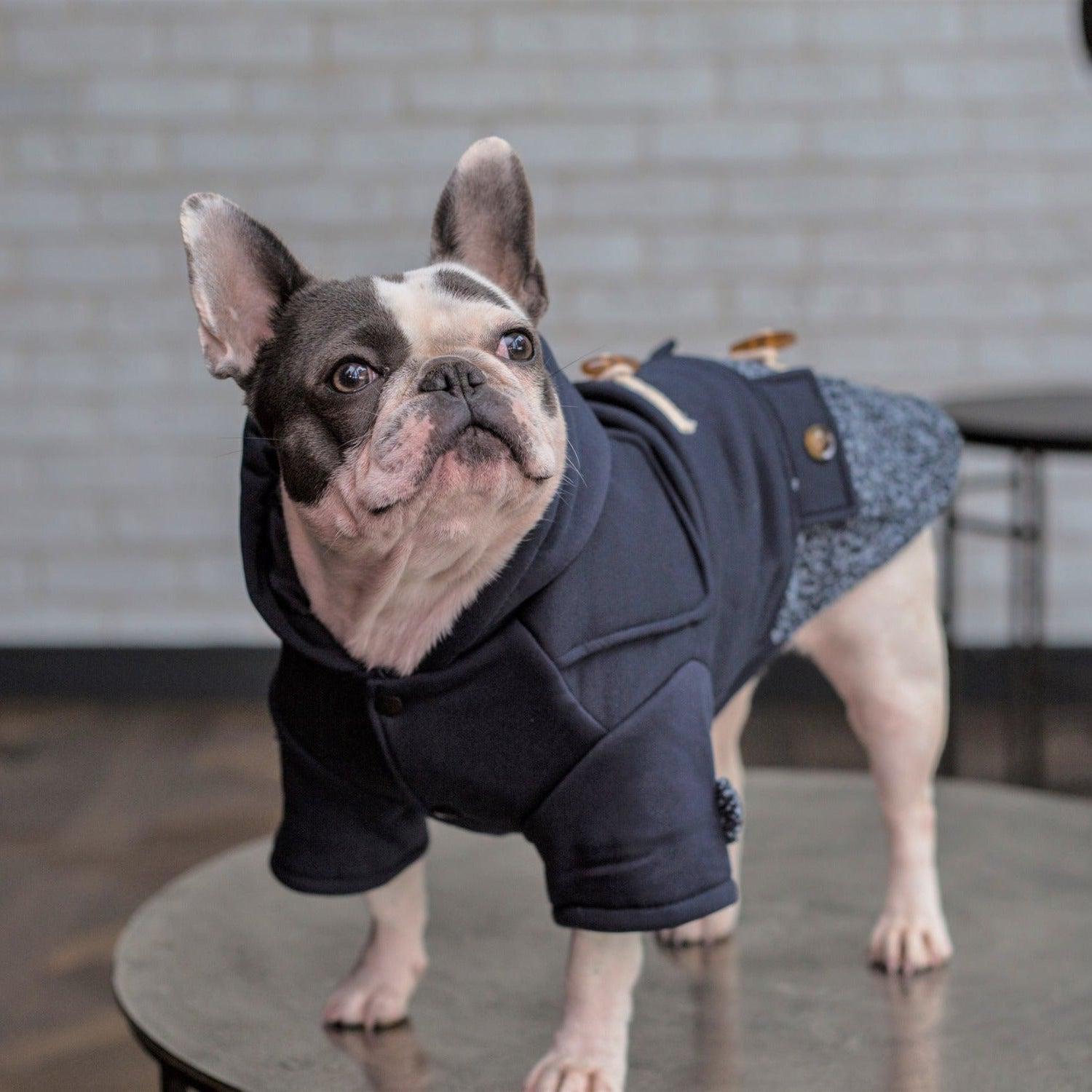 Buttoned Dog Hoodie Coat