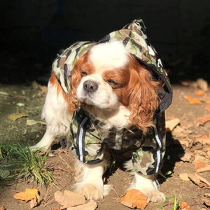Camouflage Dog Raincoat