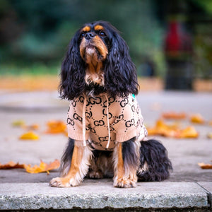 Casual Designer Dog Hoodie Jumper