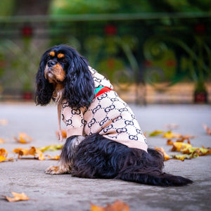 Casual Designer Dog Hoodie Jumper