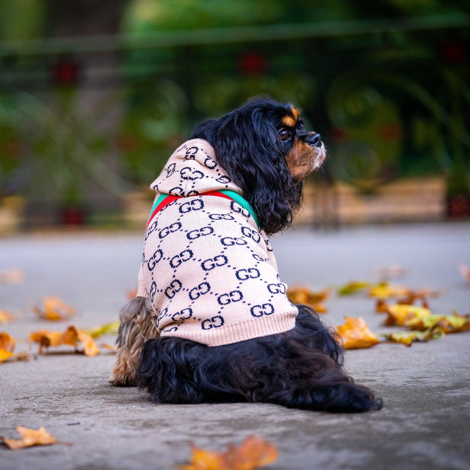 Casual Designer Dog Hoodie Jumper