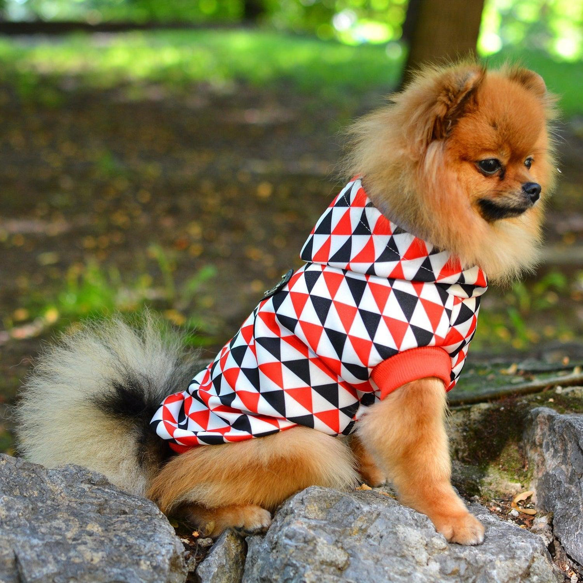 CheckMate Designer Dog Hoodie Jumper