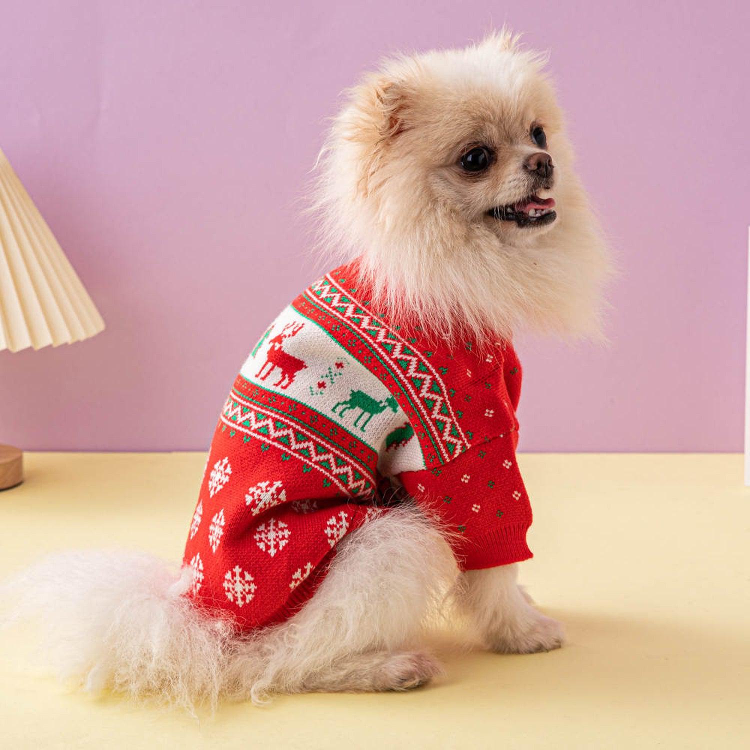 Dog Apparel Next Dog Christmas Jumper Buy Lipsy Green Christmas