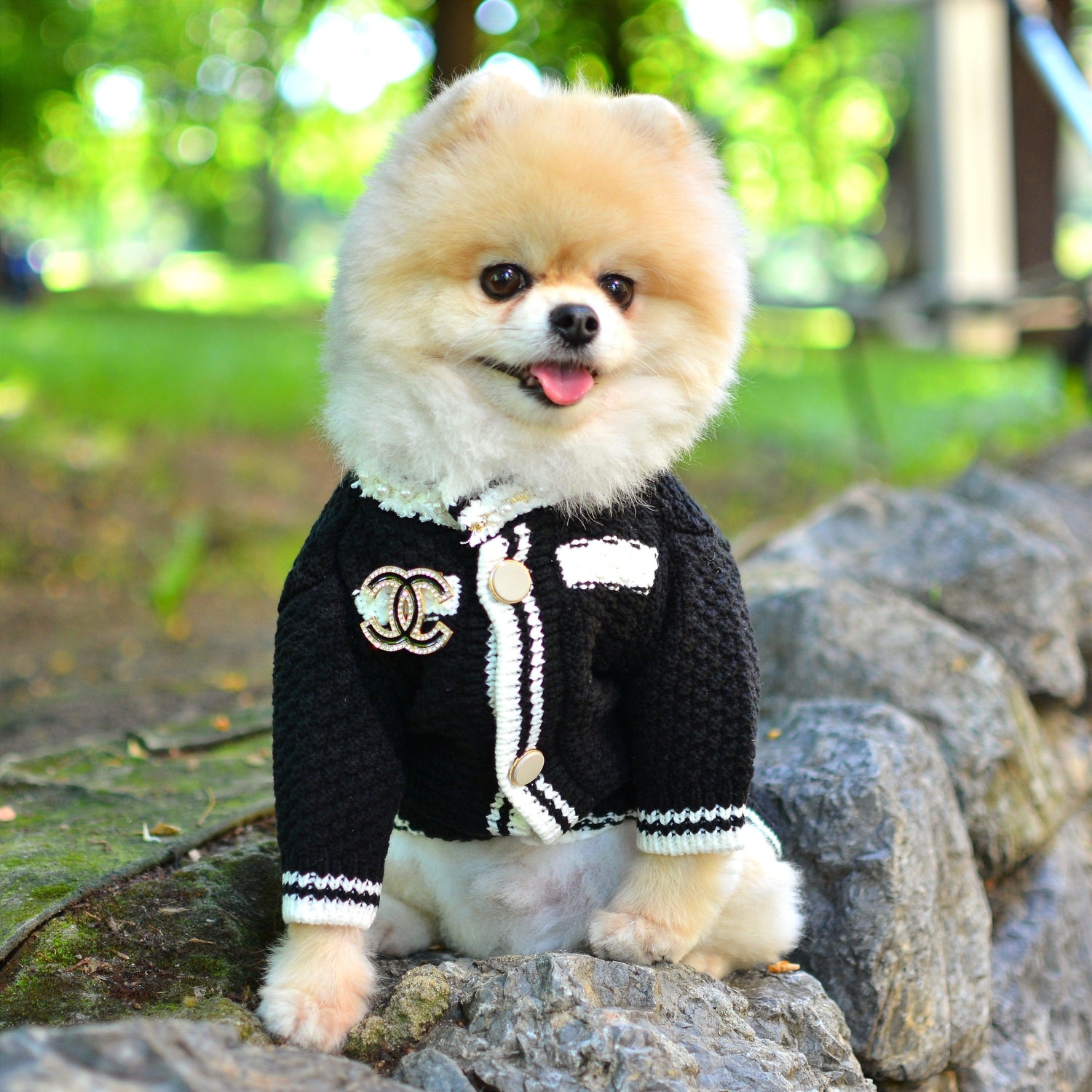 Coco Designer Dog Sweater Cardigan - For Dog Lovers