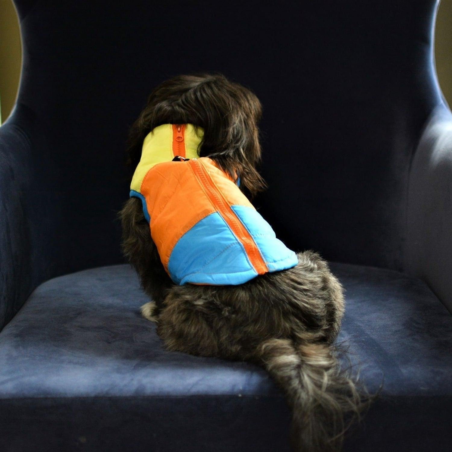 Colourful Dog Vest Jacket