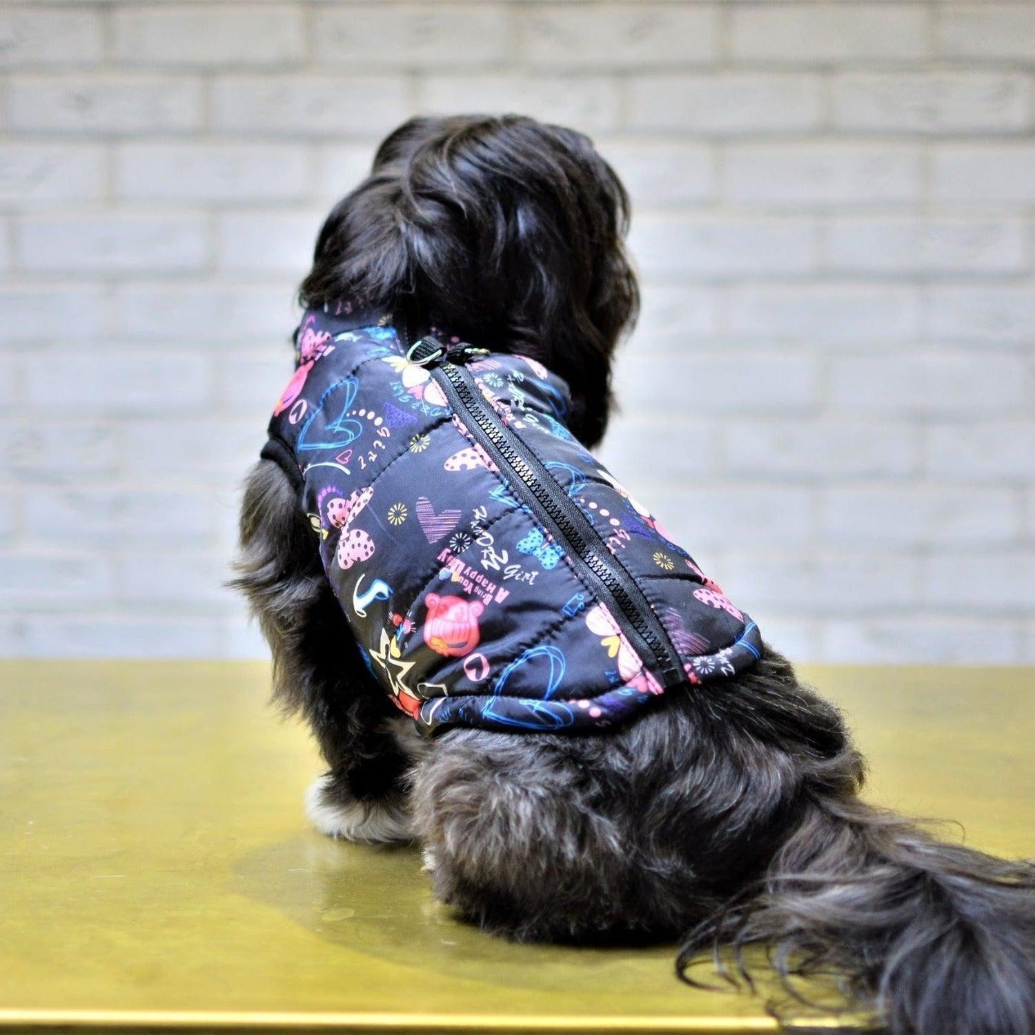 Colourful Dog Vest Jacket