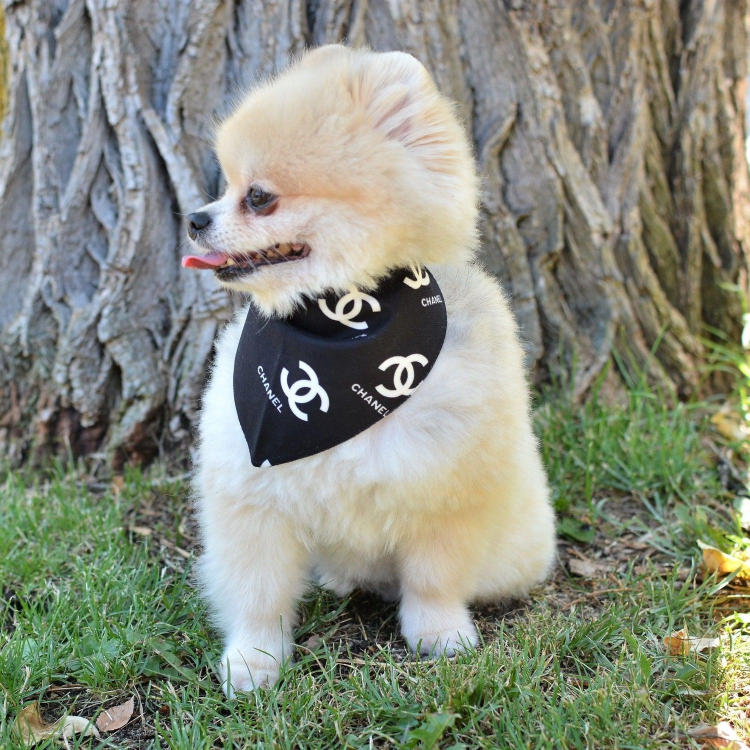 Designer Plush Scarf Dog Bandana