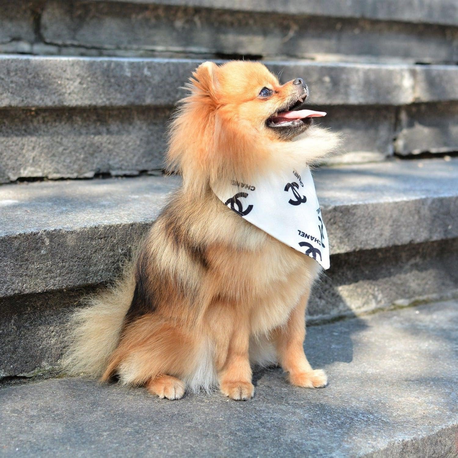 Designer Plush Scarf Dog Bandana