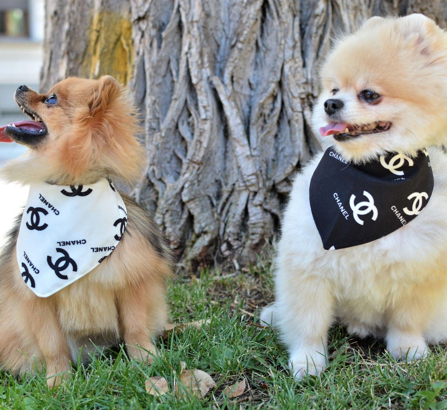 Designer Plush Scarf Dog Bandana