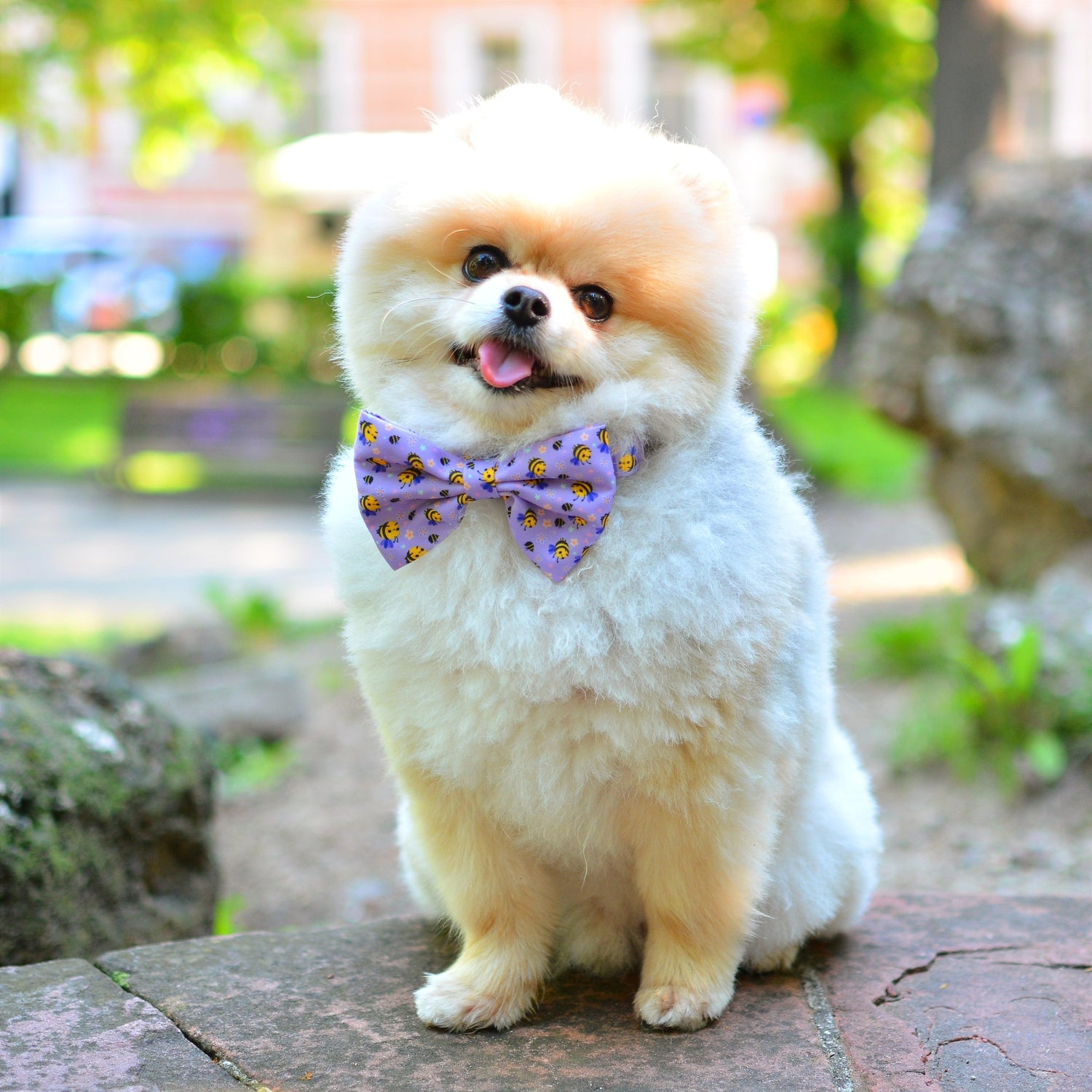 Dog Bow Tie -Don't Worry, Bee Happy