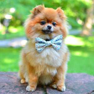 Dog Bow Tie - Love Revolution