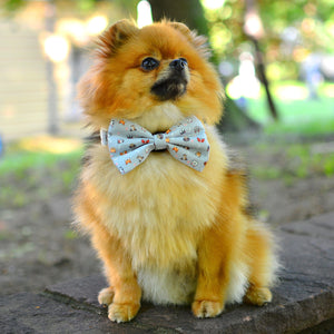 Dog Bow Tie - Oh My Pup