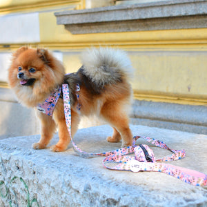 Dog Poo Bag & Treat Dog Holder - Flower Child