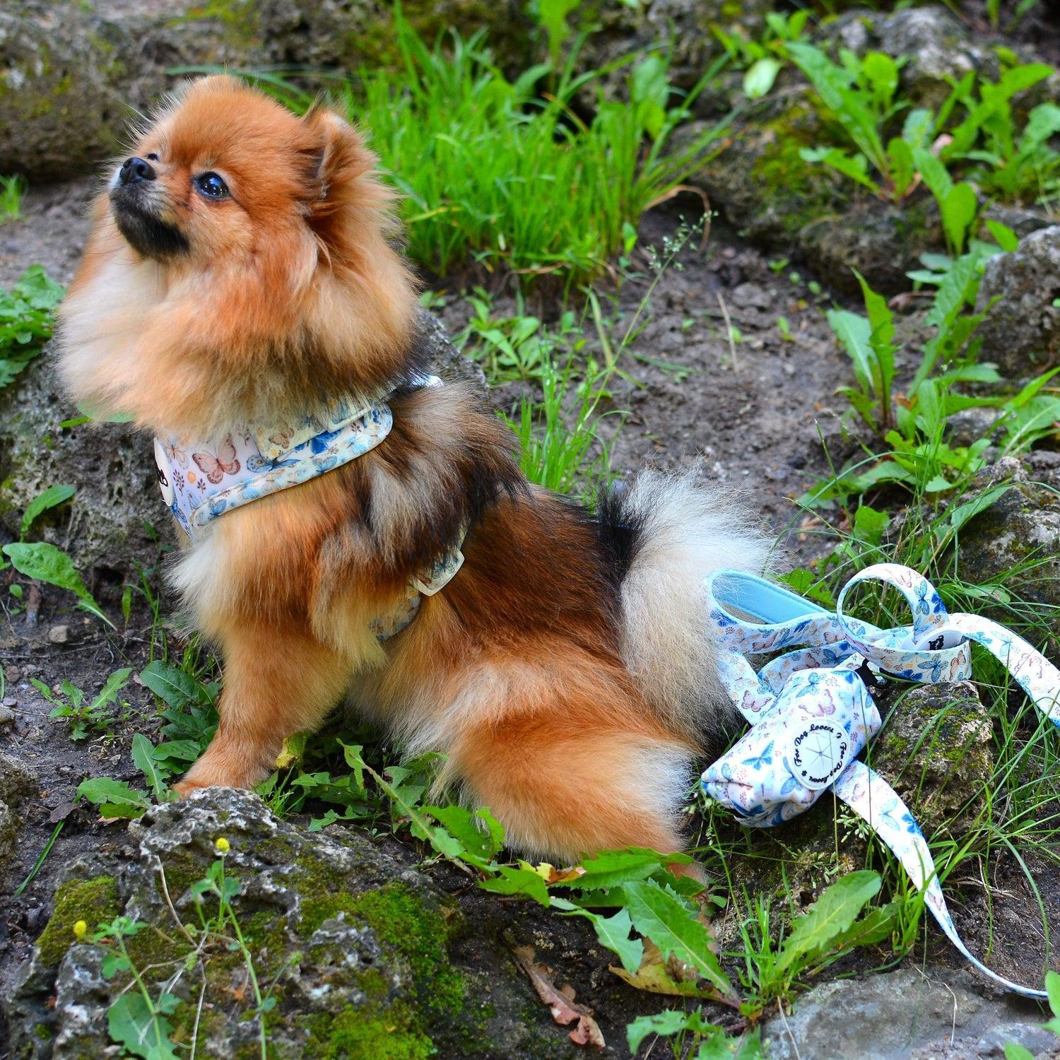 Dog Poo Bag & Treat Dog Holder - Love Revolution