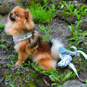 Dog Poo Bag & Treat Dog Holder - Love Revolution