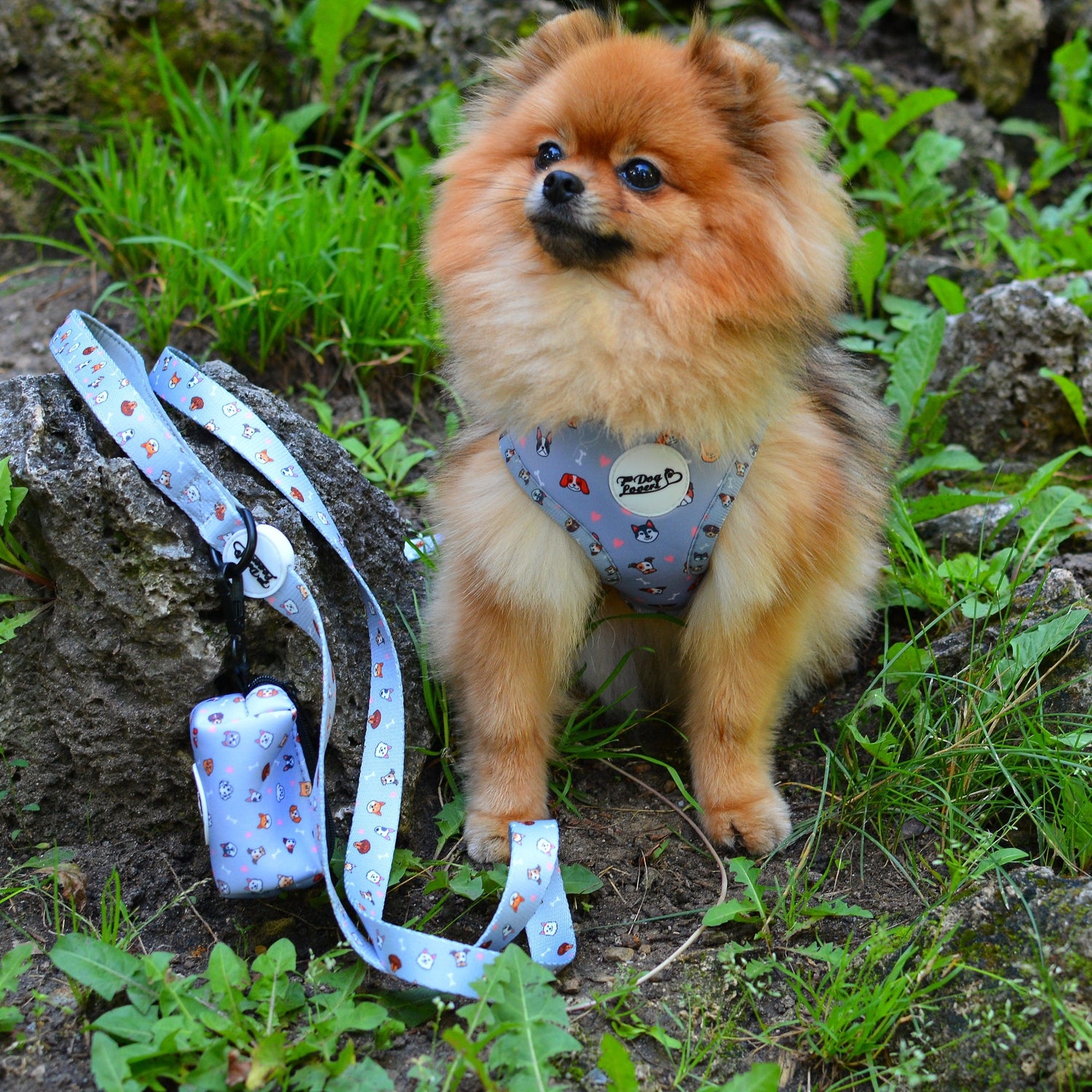 Dog Poo Bag & Treat Dog Holder - Oh My Pup