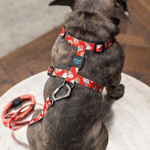 Dog Strap Harness - Tobacco