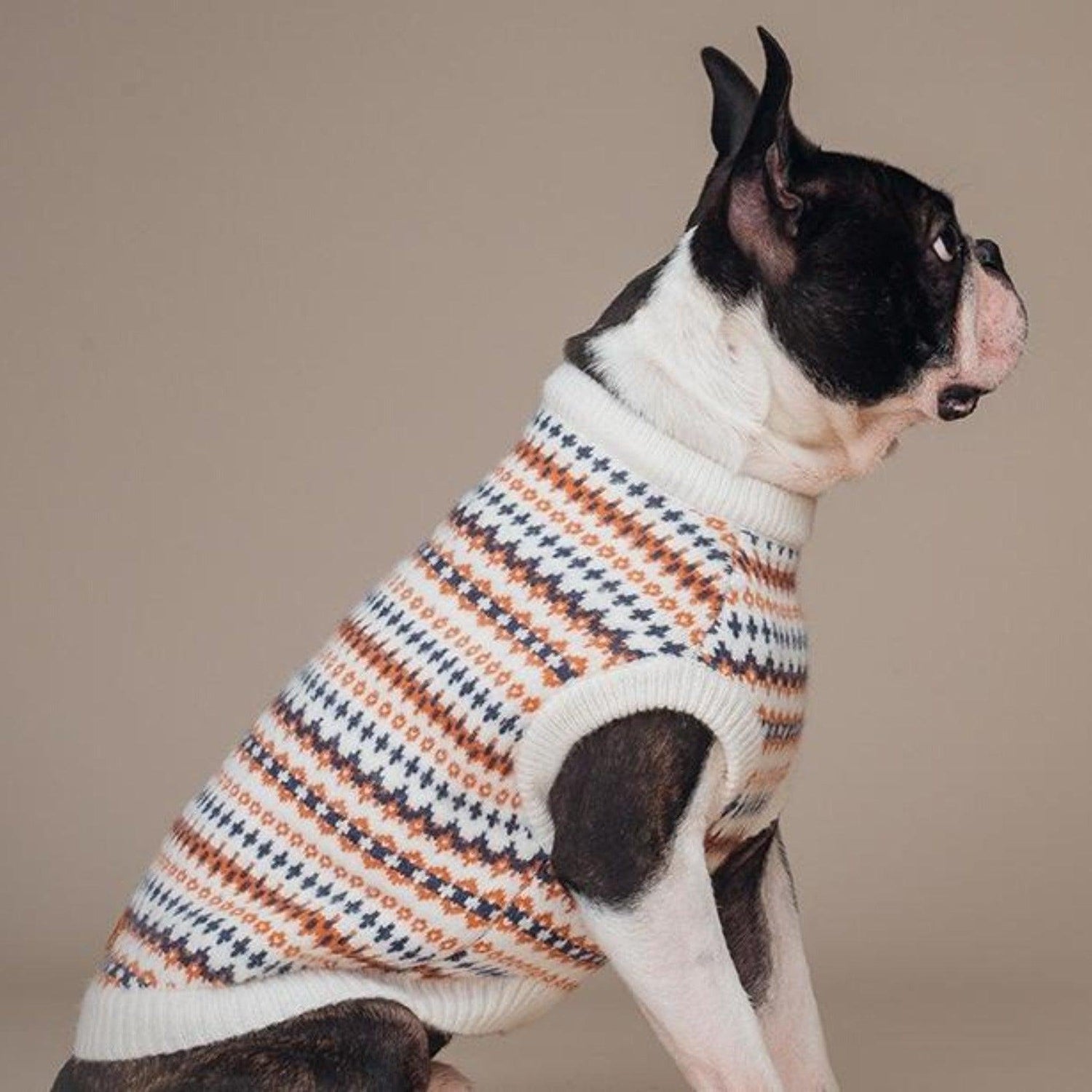 England Style Jumper Dog Sweater