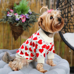 Fall In Love Designer Jumper Dog Sweater