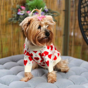 Fall In Love Designer Jumper Dog Sweater