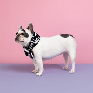 Faux Fur Designer Dog Scarf