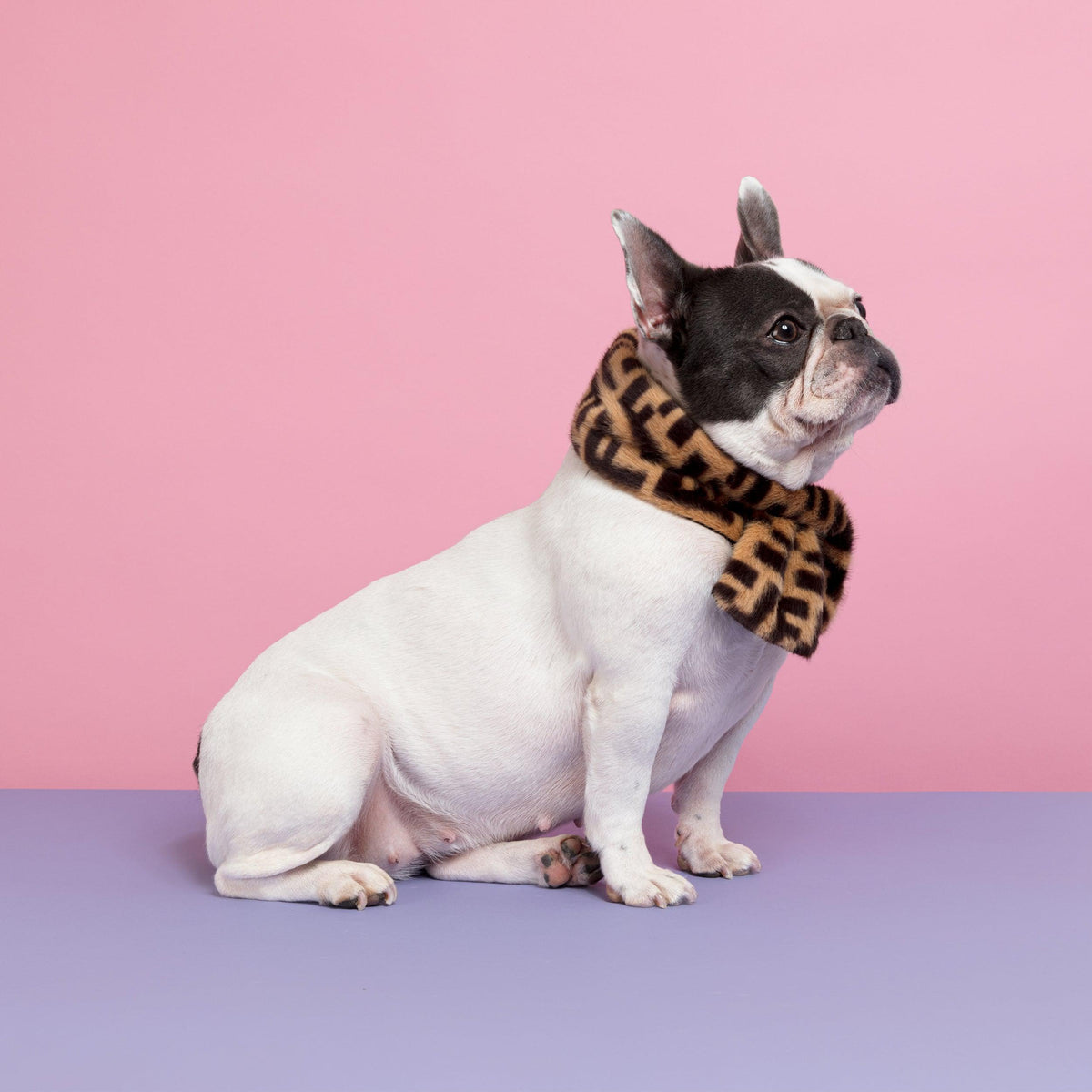 Faux Fur Designer Dog Scarf