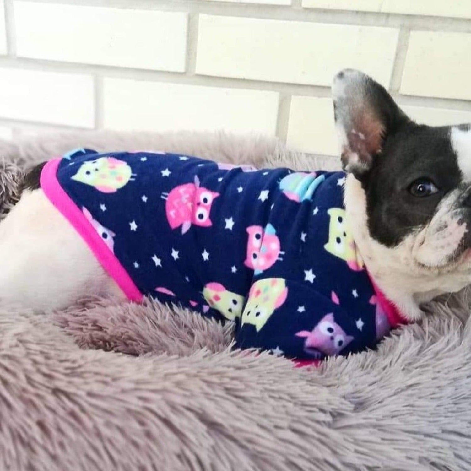 Fleece Dog Pyjama Jumper