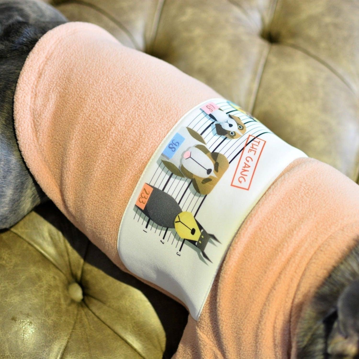 Fleece Sport Dog Sweater T-Shirt The Gang