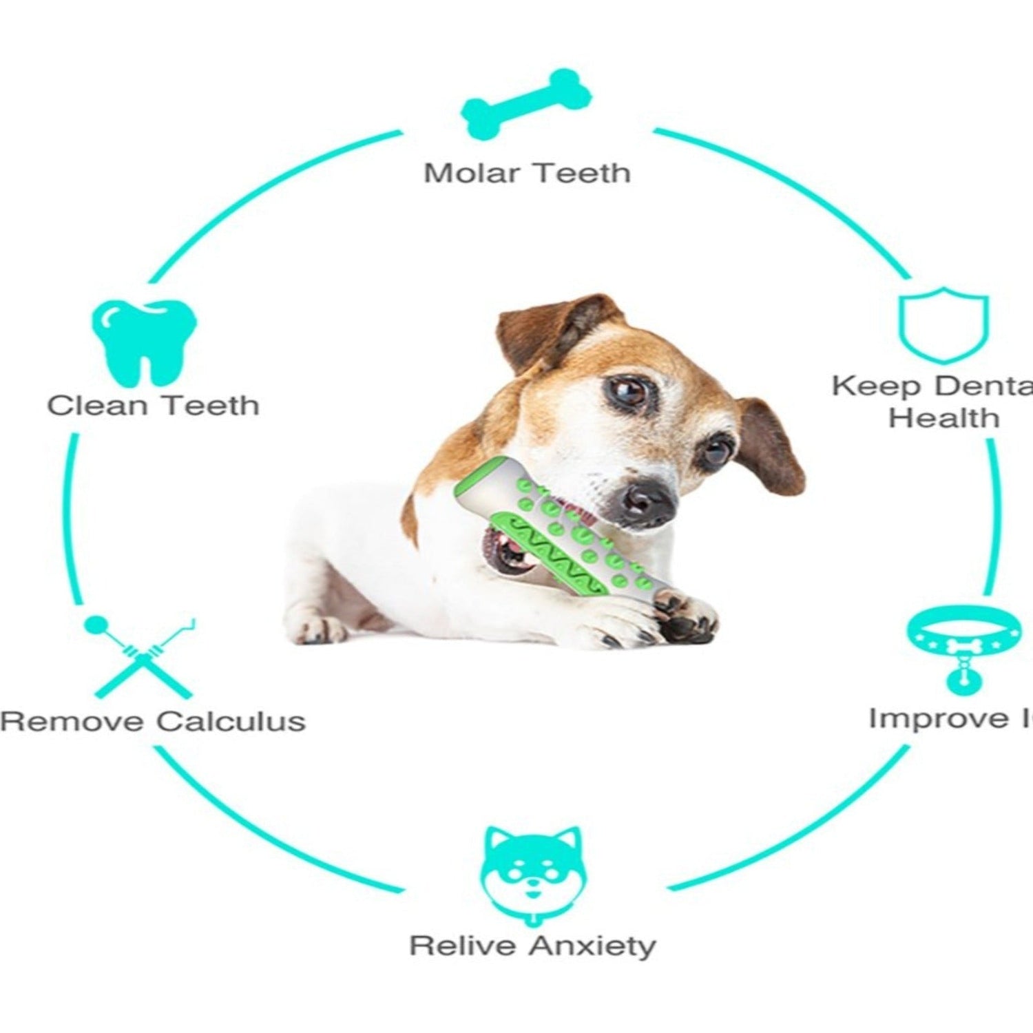 Funny Interactive Toothbrush Dog Chew Toy