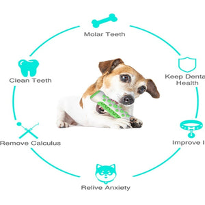 Funny Interactive Toothbrush Dog Chew Toy