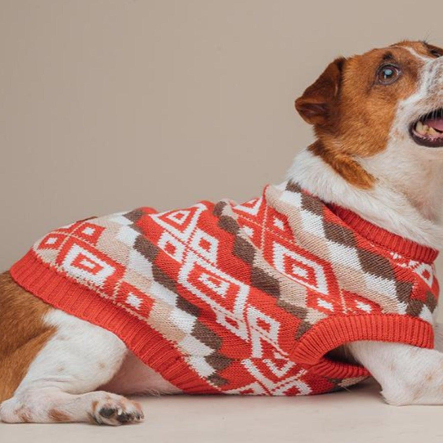 Geometric Cotton Sweater Dog Jumper