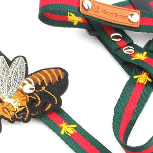 Honey Bunny Dog Harness and Leash Set