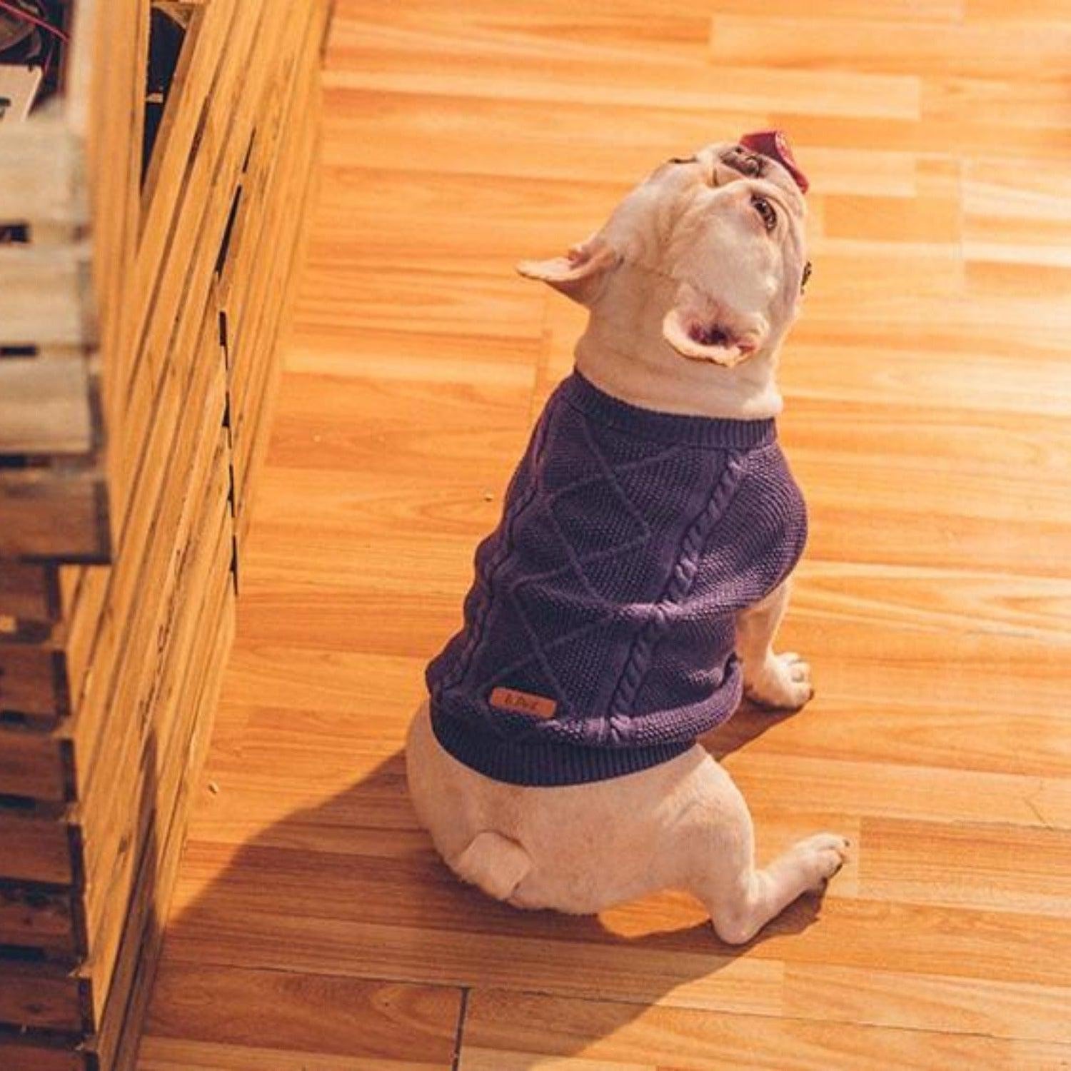 Knit Cable Dog Jumper