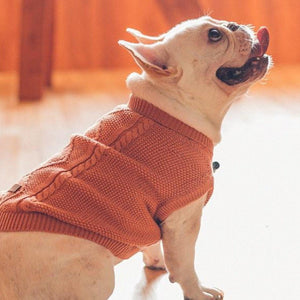 Knit Cable Dog Jumper