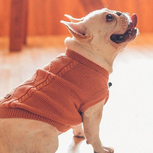 Knit Cable Dog Jumper